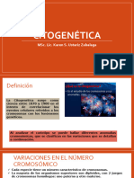 Citogenética II.23