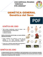 Genética Del Sexo - II.23