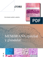 Material de Estudio para Parcial de Microanatomía - Laboratorio 2