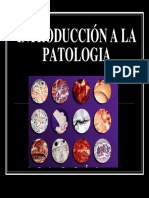 01a Clase 1 Patologia