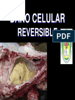 3daño Celular Reversible