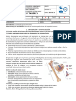 Guias Y Talleres: 1. Exploración Y Estructuración