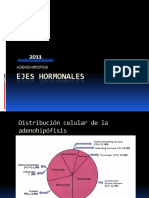 Somato-Lactotropo Medicina 2011 Imprime