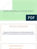 Derecho Internacional de Los DDHH