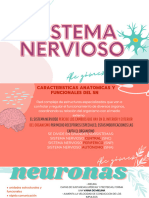 SISTEMA NERVIOSO - Compressed