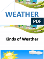 WEATHER