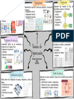 Mapa Mental Con Informacion