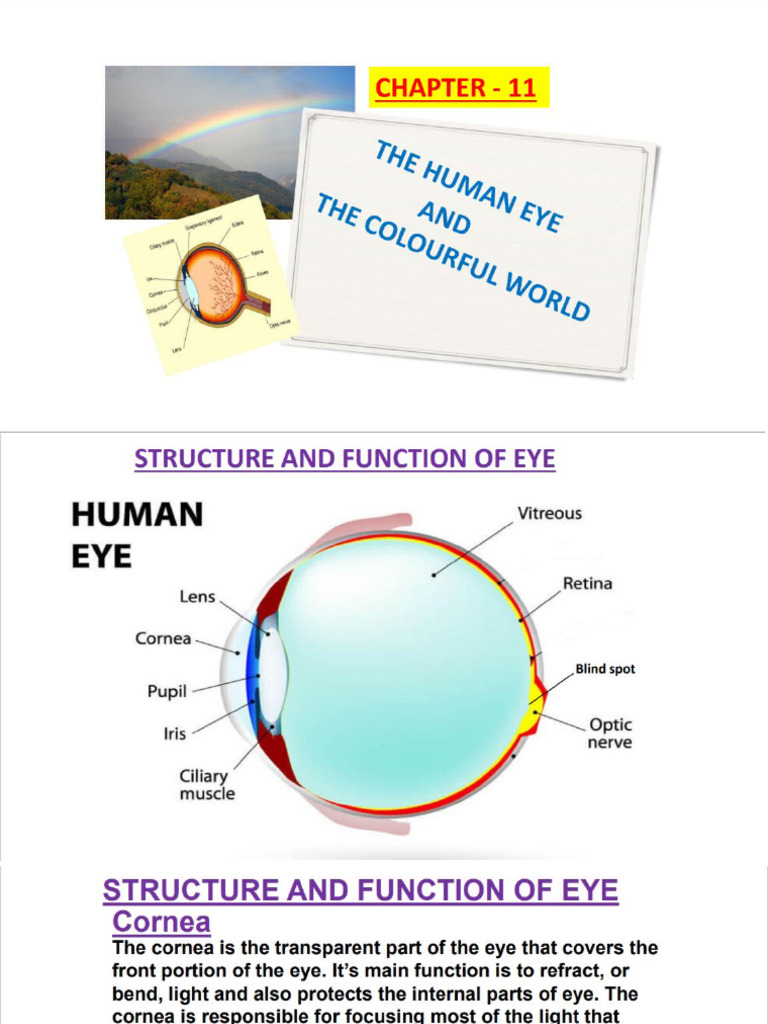 CH Human Eye and The Colourful World | PDF