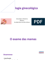 Cópia de Aula Semiologia Ginecologica Pratica UNINOVE
