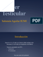 Cancer Testicular 2.255190521