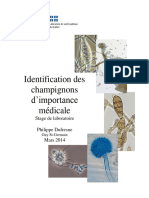 Identification Champignons Importance Medicale