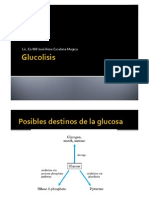 Glucolisis