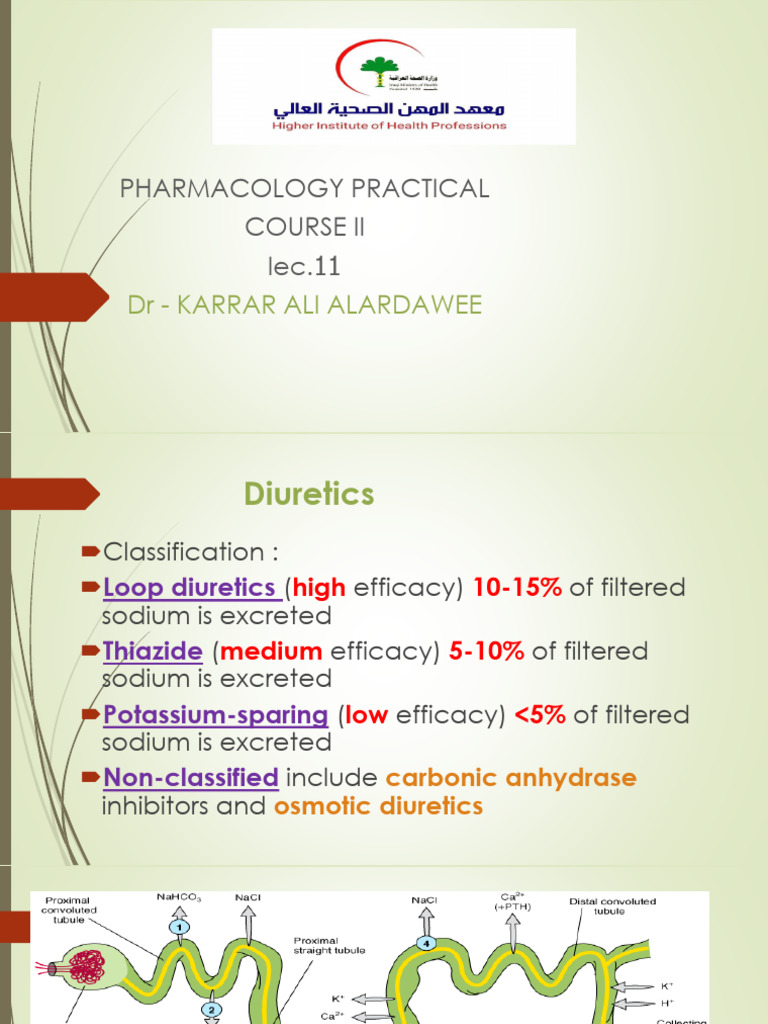 Diuretics Lec.11 | PDF | Medical Specialties | Clinical Medicine