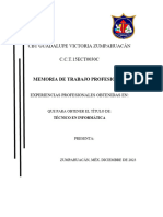 CBT Guadalupe Victoria Zumpahuacán C.C.T.15ECT0030C: Memoria de Trabajo Profesional