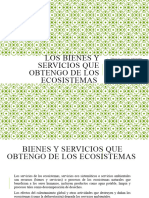 Los Bienes y Servicios