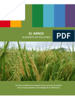 El_arroz_Alimento_de_millones