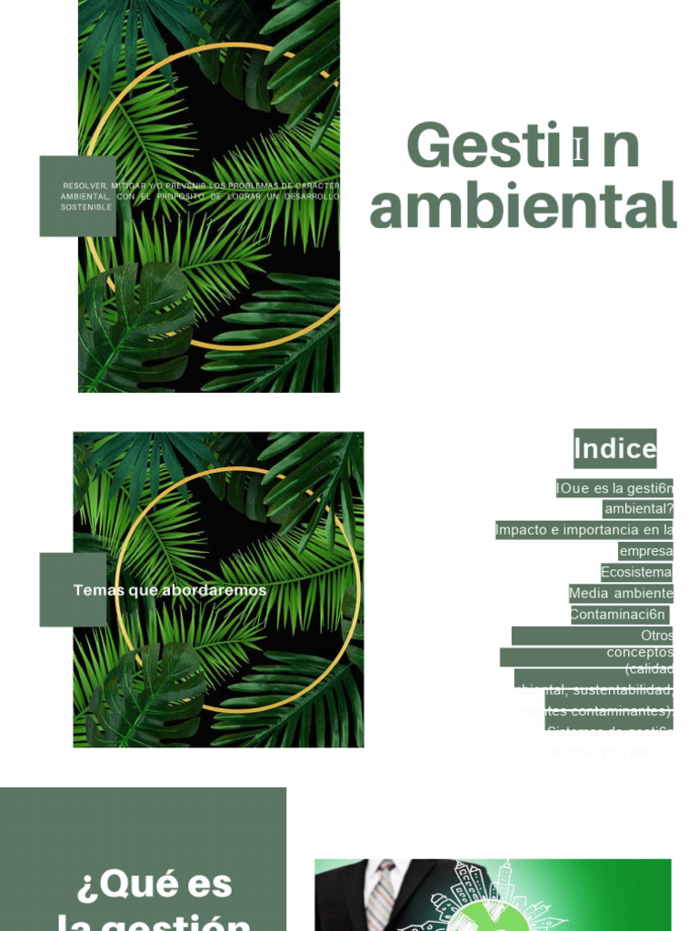 Gestión Ambiental en Empresas Sostenibles | PDF | Entorno natural ...