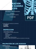 Exploracion de Pelvis y Cadera