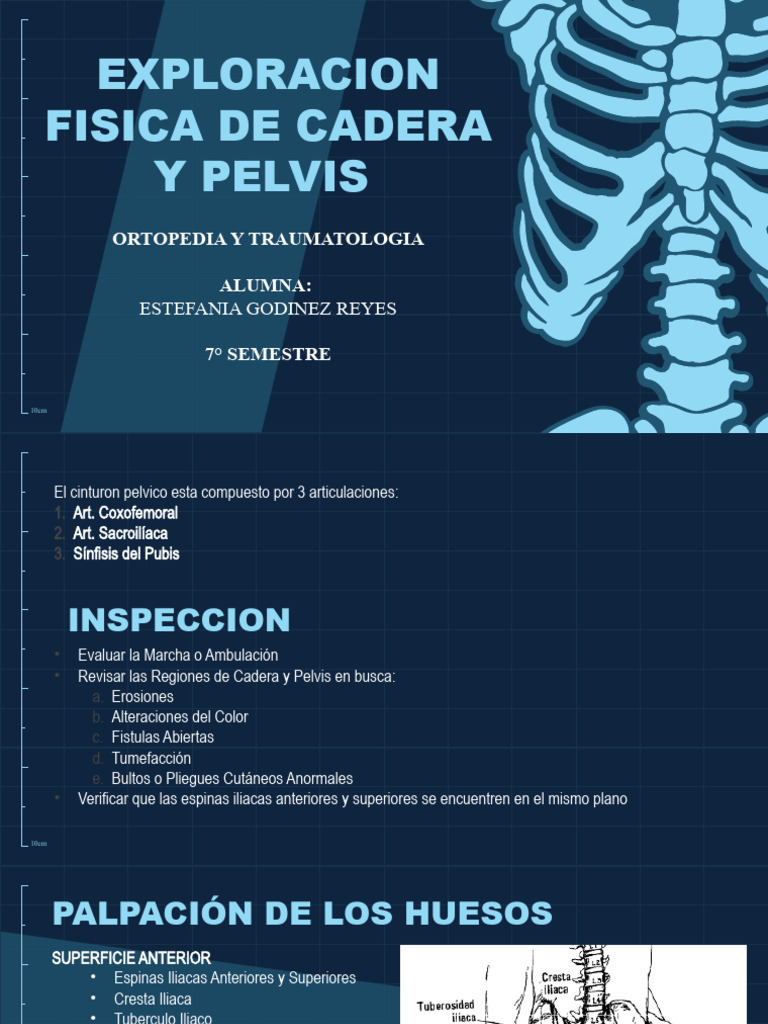 Exploracion de Pelvis y Cadera | PDF | Pelvis | Anatomía