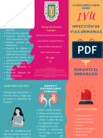 Infecciones de Vias Urinarias