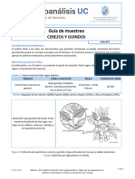 DT-602-03v01 Guía de Muestreo Foliar - Cerezos y Guindos
