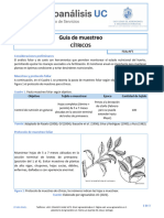 DT-602-05v01 Guía de Muestreo Foliar - Cítricos