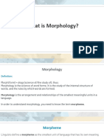What's Morphology