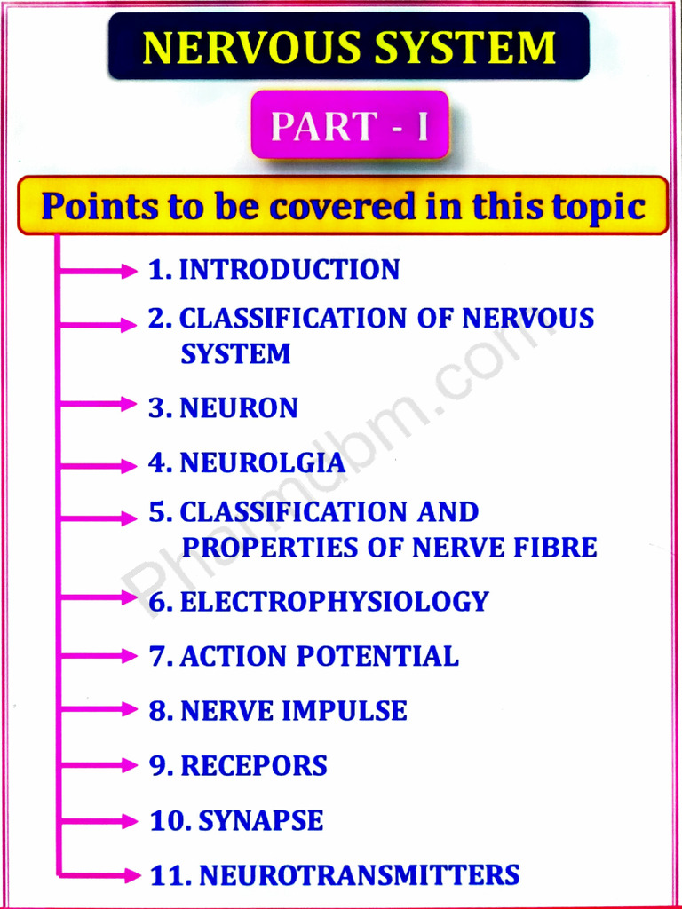 HAP II Unit 1 | PDF
