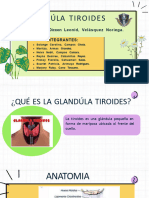 Glandúla Tiroides