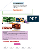Nota Topik1-Mokroorganisma (2)