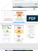 Ejercicio Online de Sistema Digestivo para Educac