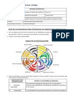 Guía de Autoanalisis