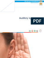 Auditory System of Human Body