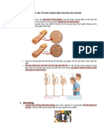 CÁC YẾU TỐ ẢNH HƯỞNG ĐẾN CHUYỂN HÓA XƯƠNG