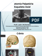 Minicurso de Anatomia Palpatoria Esqueleto Axial