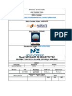 PPSPS - NE - Carrière-Version A