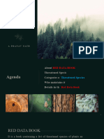 Pine Design