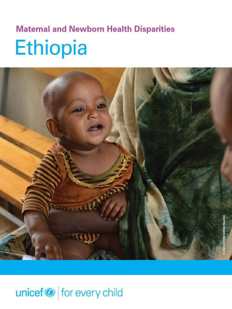 Maternal and Newborn Health in Ethiopia | PDF | Maternal Death | Infant ...