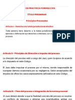 DIAPOSITIVA DEL CURSO DE PRACTICA FORENSE CIVIL Actual