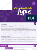 Cronograma Actividades Lupus 2