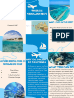 Ningaloo Reef - Pamphlet