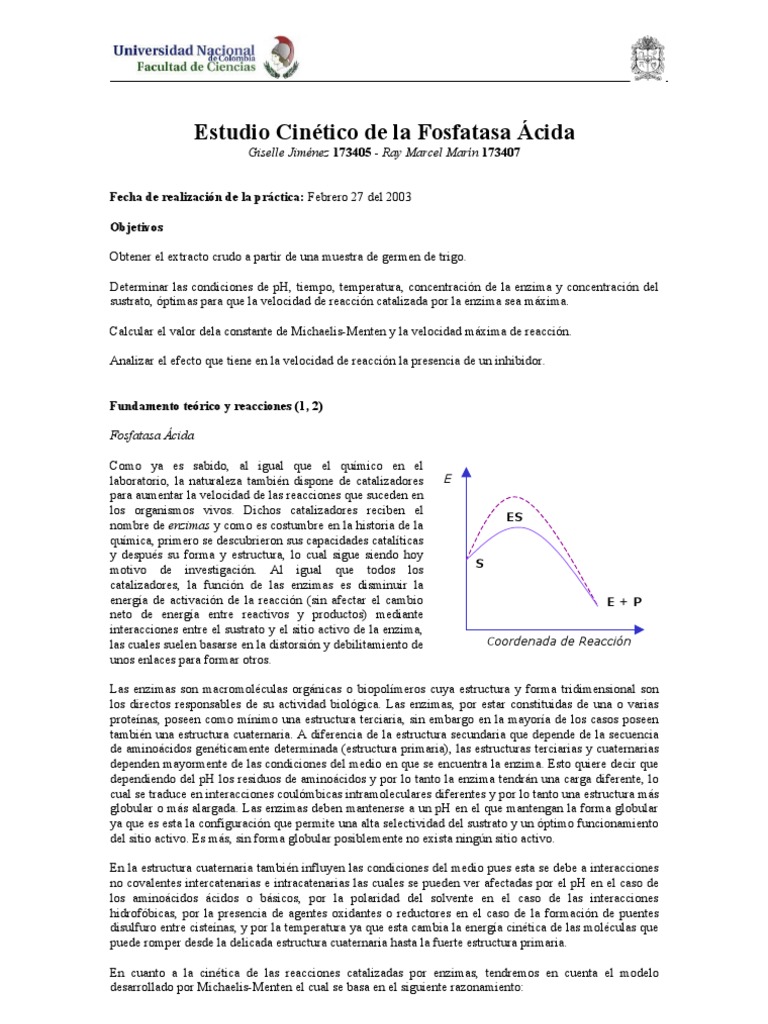 fosfatasa_acida Enzima Catálisis