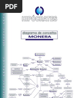 Diagrama de Conceitos_Monera