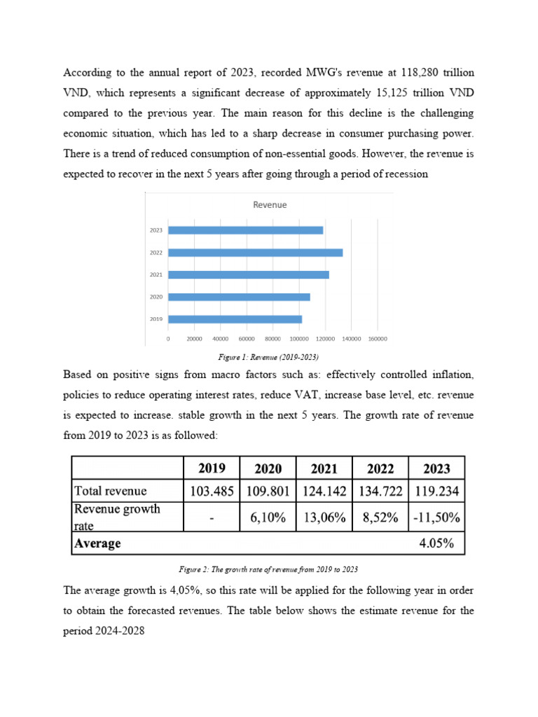 MWG 2023 Revenue Decline Analysis | PDF | Depreciation | Investing