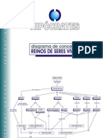 Diagrama de Conceitos - Reinos de Seres Vivos