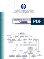 Diagrama de Conceitos_Vírus