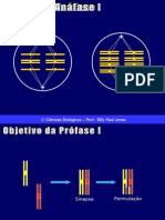 Comparações Meiose e Mitose