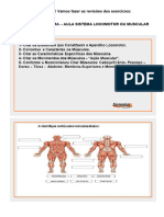 Todos Os Exercícios de Fixação de Anatomia Humana - P2