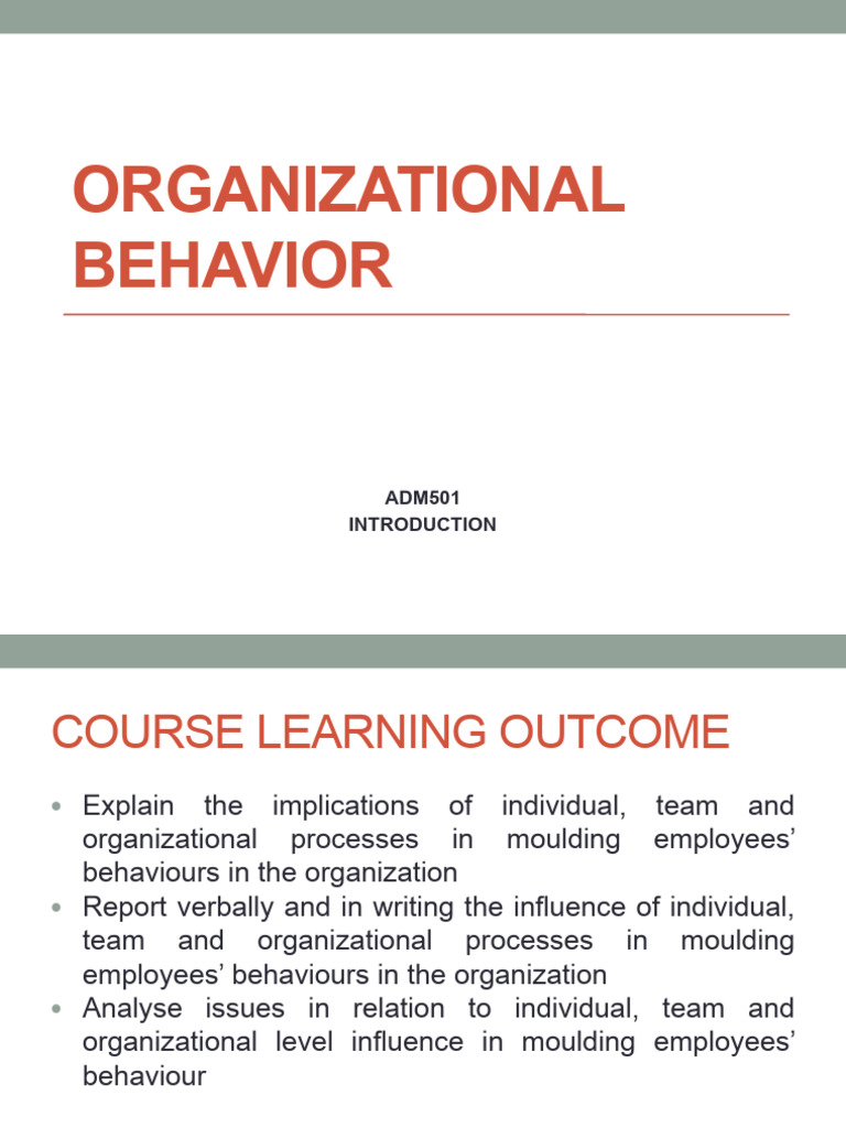 Levels of Organizational Behavior | PDF | Leadership | Sociology