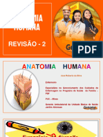 Anatomia Revisao 2